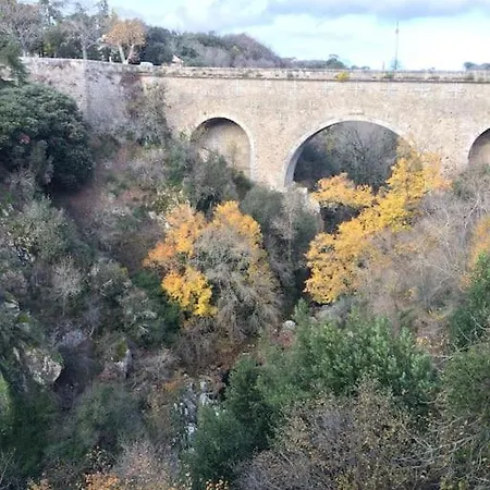 Nichoir Des Gorges * Montolieu