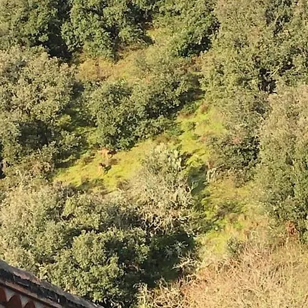 Сasa de vacaciones Nichoir Des Gorges *